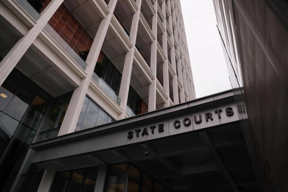 குற்றவாளிக்கு ஏழு ஆண்டுகளும் ஐந்து மாதங்களும் சிறைத் தண்டனை விதிக்கப்பட்டது.