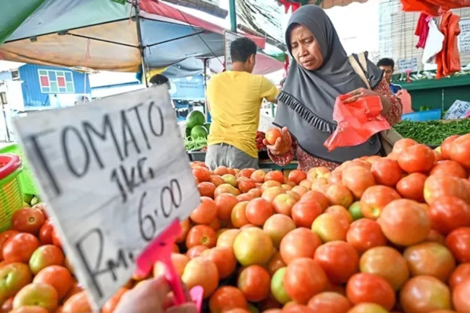 ஒரு கிலோ தக்காளி 5 ரிங்கிட்டிற்குமேல் (ஏறத்தாழ S$1.57) விற்கப்படுவதாகத் தகவல்கள் கூறுகின்றன. 