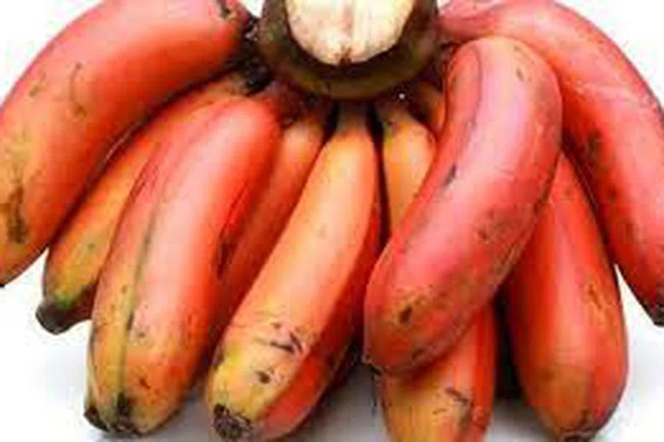 சத்து நிறைந்த செவ்வாழை