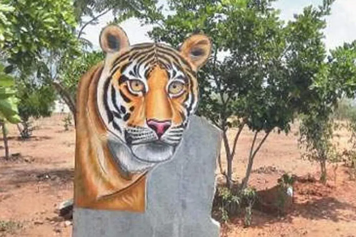 தமிழகத்தில் குள்ளநரி, சிங்கவால் குரங்கு, முள்ளெலி பாதுகாப்புத் திட்டம்: பொன்முடி