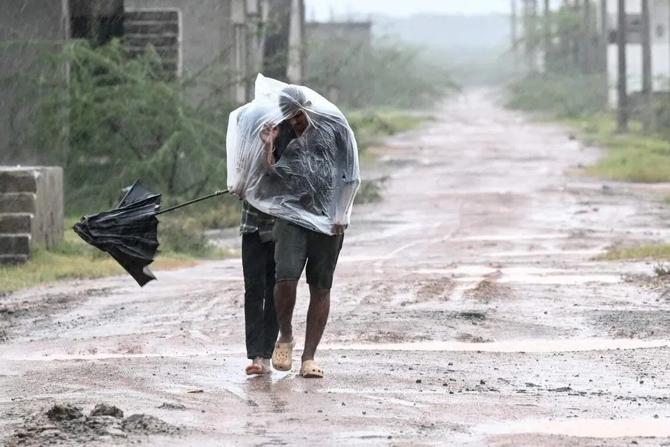 புயல் கரையைக் கடந்தபோது வீசிய பலத்த காற்றால் விசாகப்பட்டினம், காக்கிநாடா, கோனசீமா மாவட்டங்களில் ஆயிரக்கணக்கான மரங்களும் மின் கம்பங்களும் வேரோடு சாய்ந்தன. 
