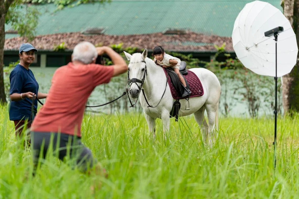 குதிரைகளுடன் புகைப்படம் எடுத்துக்கொள்ள வாய்ப்பு
