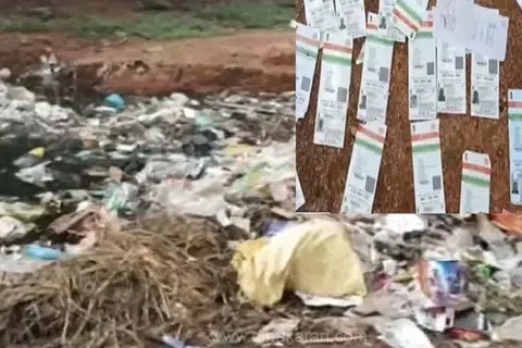 கண்டெடுக்கப்பட்ட ஆதார் அட்டைகளில் பெரும்பாலானவை பள்ளி மாணவர்கள், குழந்தைகளின் பெயர்களில் வழங்கப்பட்டவை எனக் கூறப்படுகிறது.