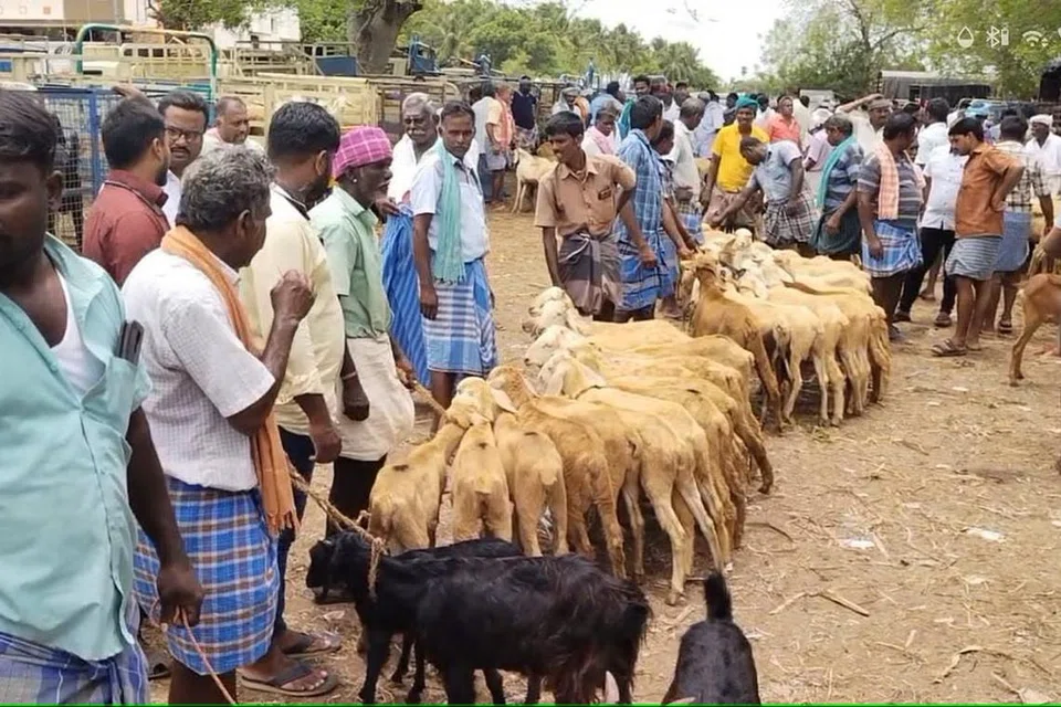 கோப்புப்படம்: