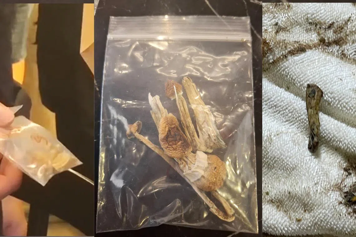 சுற்றுப்பயணி மரணம்: போதைக் காளான் விற்பனையாளர் கைது