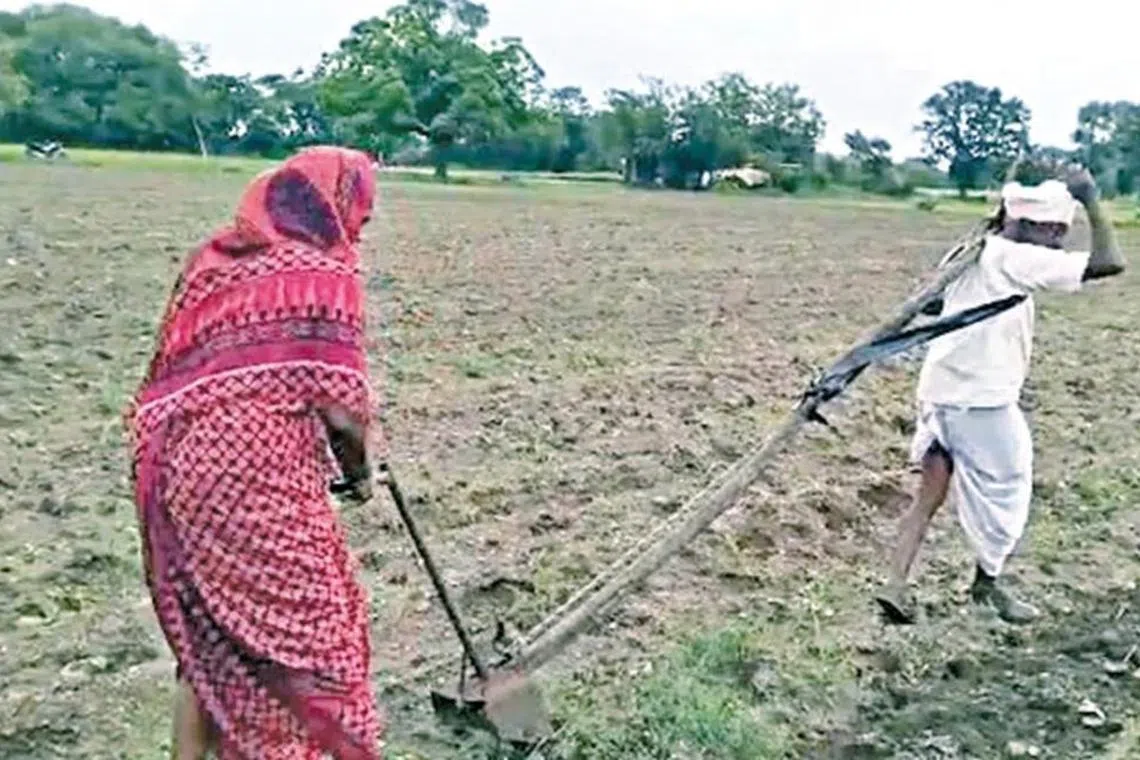 எருதாக மாறி நிலத்தை உழுத விவசாயி; கடனை செலுத்திய அமைச்சர்