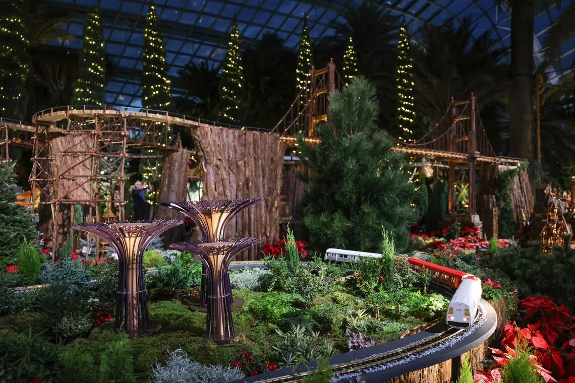 விடுமுறைக் காலத்தில் கண்டு ரசிக்கும் அனுபவங்கள்