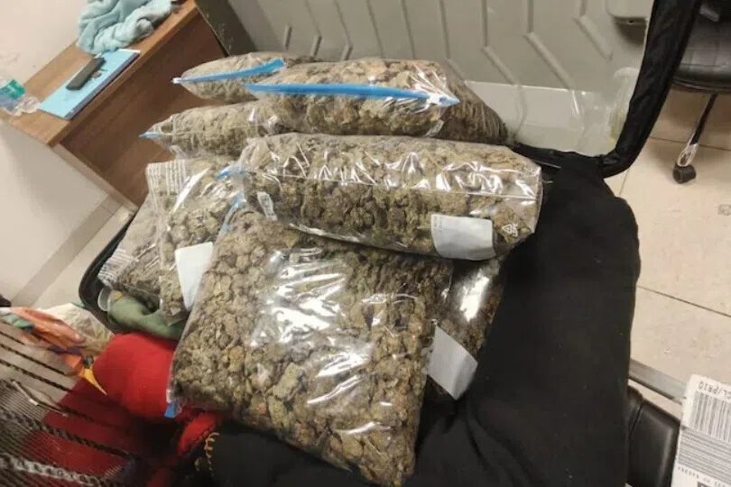 சென்னை விமான நிலையத்தில் ரூ.11 கோடி கஞ்சா பறிமுதல்: துணை நடிகை உட்பட மூவர் கைது