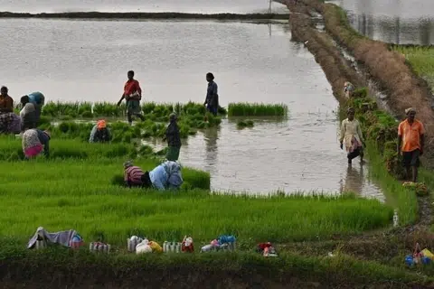 கூட்டுறவு வங்கிகள் மூலம் தமிழக விவசாயிகள் பெற்றுள்ள 
ரூ. 75,000 வரையிலான பயிர்க்கடன்கள் தள்ளுபடி செய்யப்படுகின்றன என முதல்வர் விஜய் அறிவித்துள்ளார்.