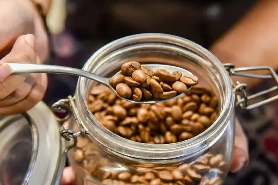 வியட்னாமில் டன் கணக்கில் கைப்பற்றப்பட்ட போலிக் காப்பி