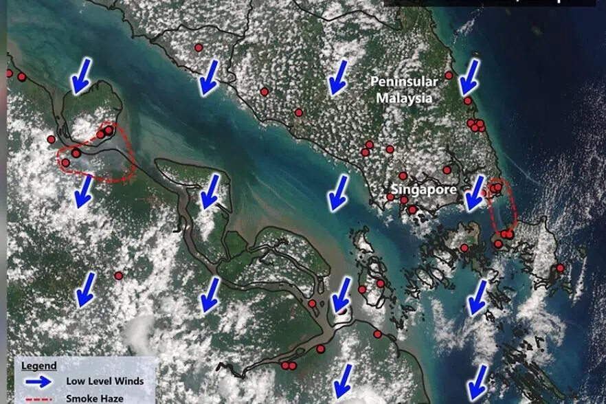 சுமத்ராவிலும் ஜோகூரிலும் கிளம்பும் புகைமூட்டம், தொடரும் அபாயம்: என்இஏ