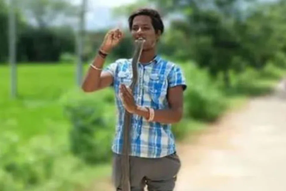தெலுங்கானாவின் கமரெட்டி மாவட்டத்தில் உள்ள தேசிபேட் கிராமத்தைச் சேர்ந்த சிவராஜ், 20, சமூக ஊடகங்களில் பிரபலமாக வேண்டும் என்ற நோக்கத்தில், நாகப்பாம்பின் தலையை வாய்க்குள் வைத்து காணொளி ஒன்றைப் பதிவு செய்ய முயன்றார்.