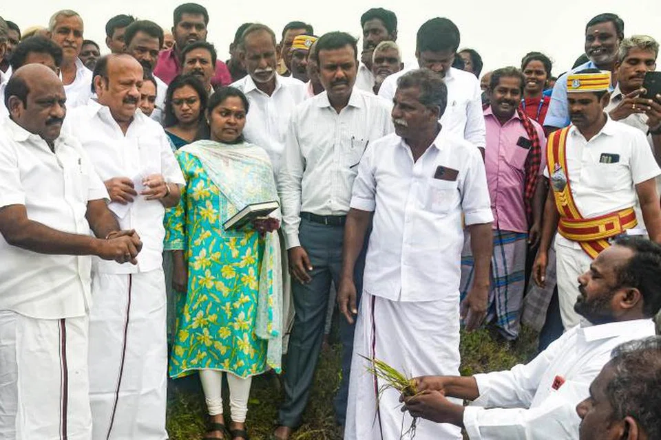 தஞ்சாவூர் உக்கடை பகுதியில் கனமழையால் மூழ்கிய நெற்பயிர்களை ஆய்வு செய்த அமைச்சர்கள் எம்.ஆர்.கே. பன்னீர்செல்வம், கோவி செழியனிடம் நெற்பயிர்களை காண்பித்த விவசாயிகள்.