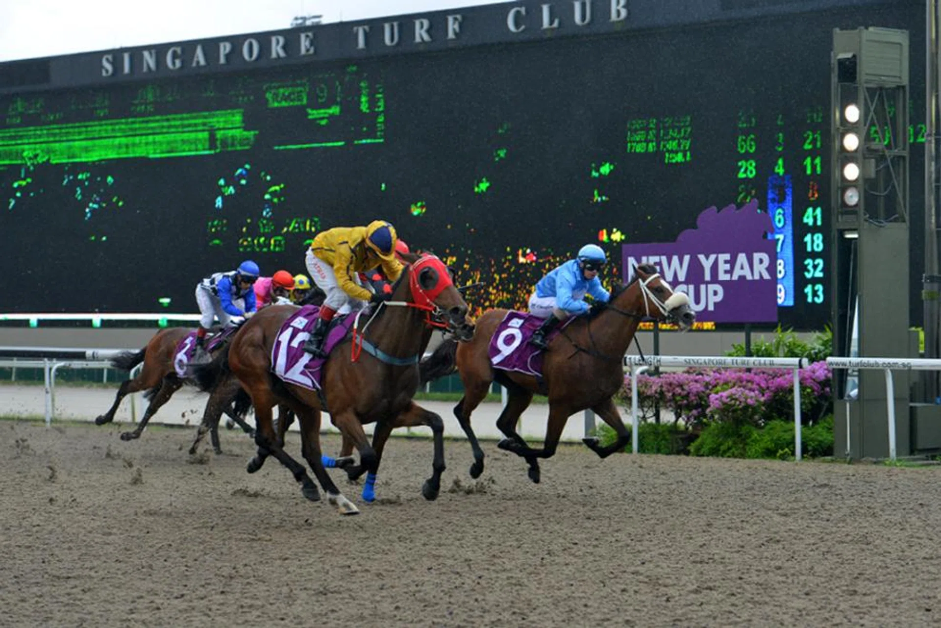 The Desmond Koh-trained Guru-Guru (Azhar Ismail aboard) gets up on the outside to win the $200,000 Group 3 New Year Cup on Sunday. 
