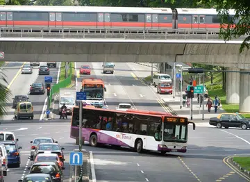 Council makes recommendations to improve public transport