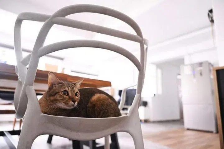 787