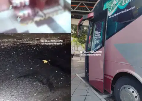 Woman horrified to find coach 'infested with cockroaches', can't change seats
