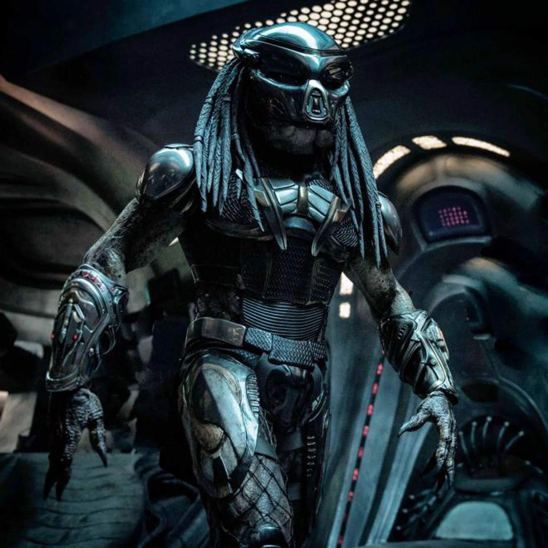 The Predator