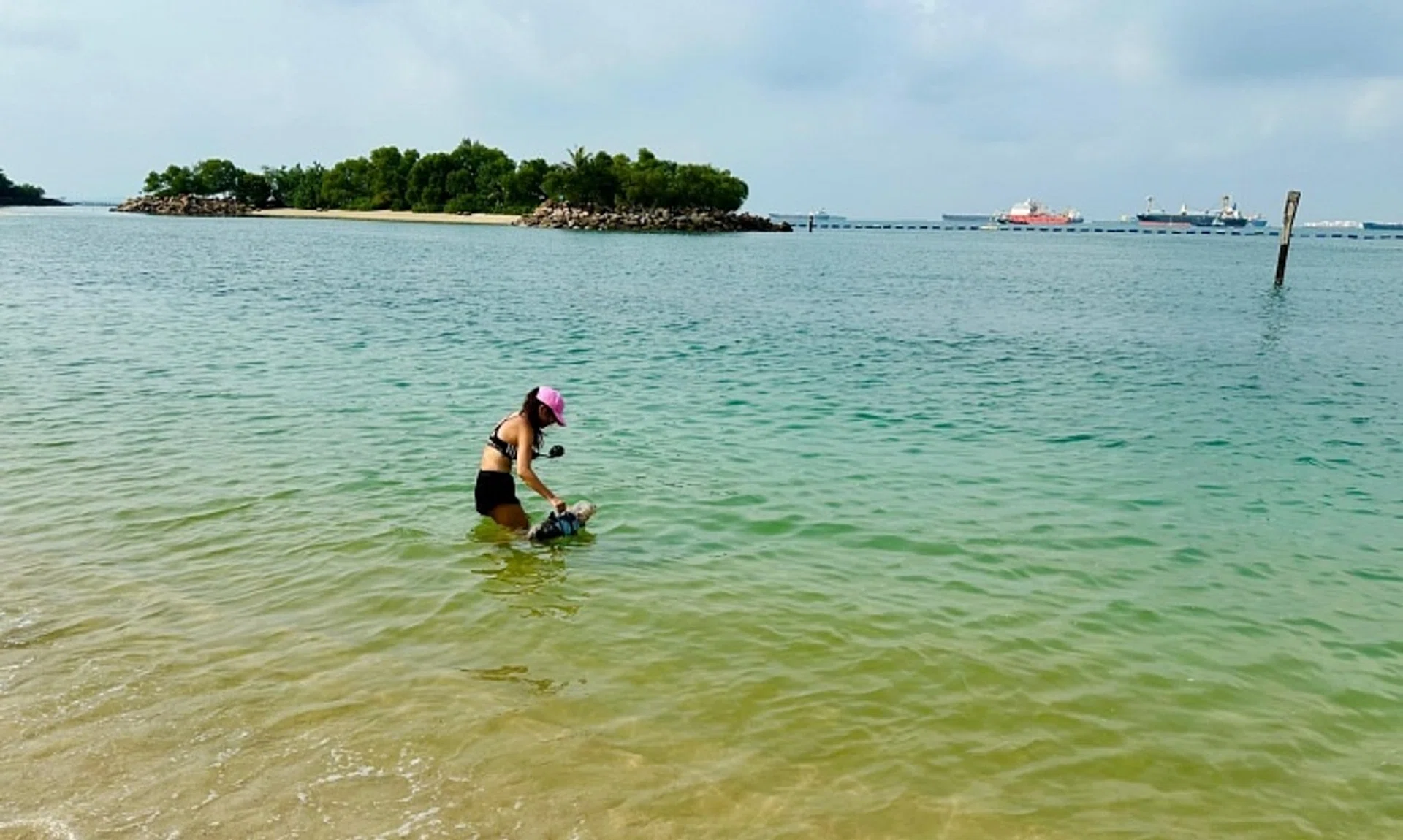 The water quality at Tanjong Beach has returned to normal and stable levels following the oil spill in June.