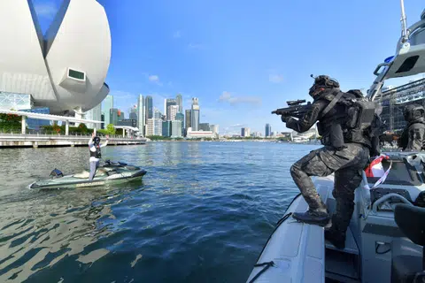 Air force, navy join forces in NDP segment that features divers jumping from helicopter