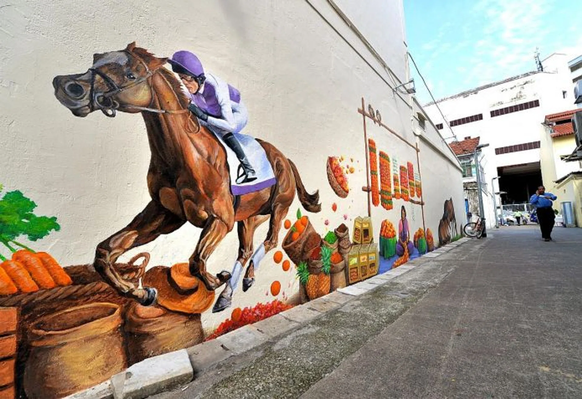 COMMUNITY COLOURS: More than 40 people worked on the 20m-long community art project, which features details from Race Course Road's history as a hub for horse racing and trading.   