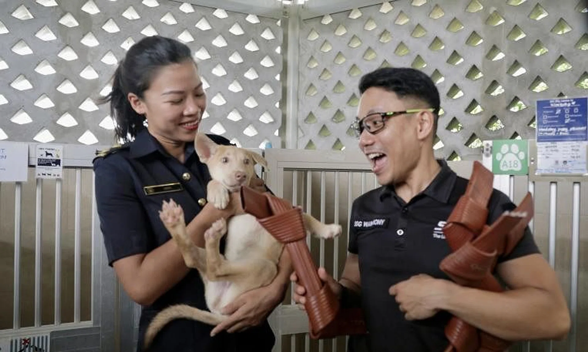 SCDF officers Debra Lee (left) and Wan Rony interacting with a Singapore special dog. The SCDF donated dog toys made from old fire hoses to the SPCA Singapore.