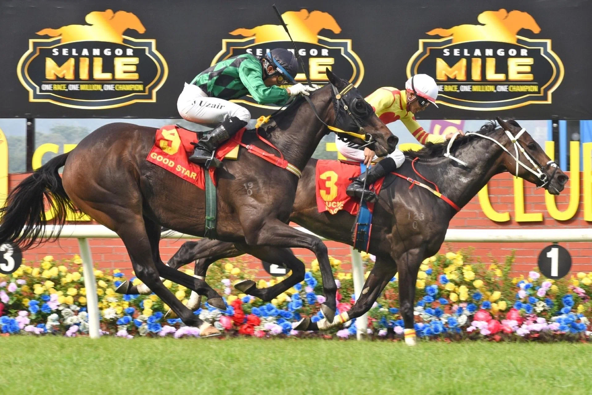 The Mahadi Taib-trained Good Star (Uzair Sharudin) closing off strongly to finish a neck-second to Lucky Magic (Shafiq Rizuan) in the Selangor Mile (1,600m) feature at Sungai Besi on July 20.