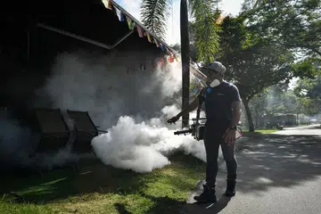 Dengue could surge in coming months, warns NEA as cases rose to 183 last week
