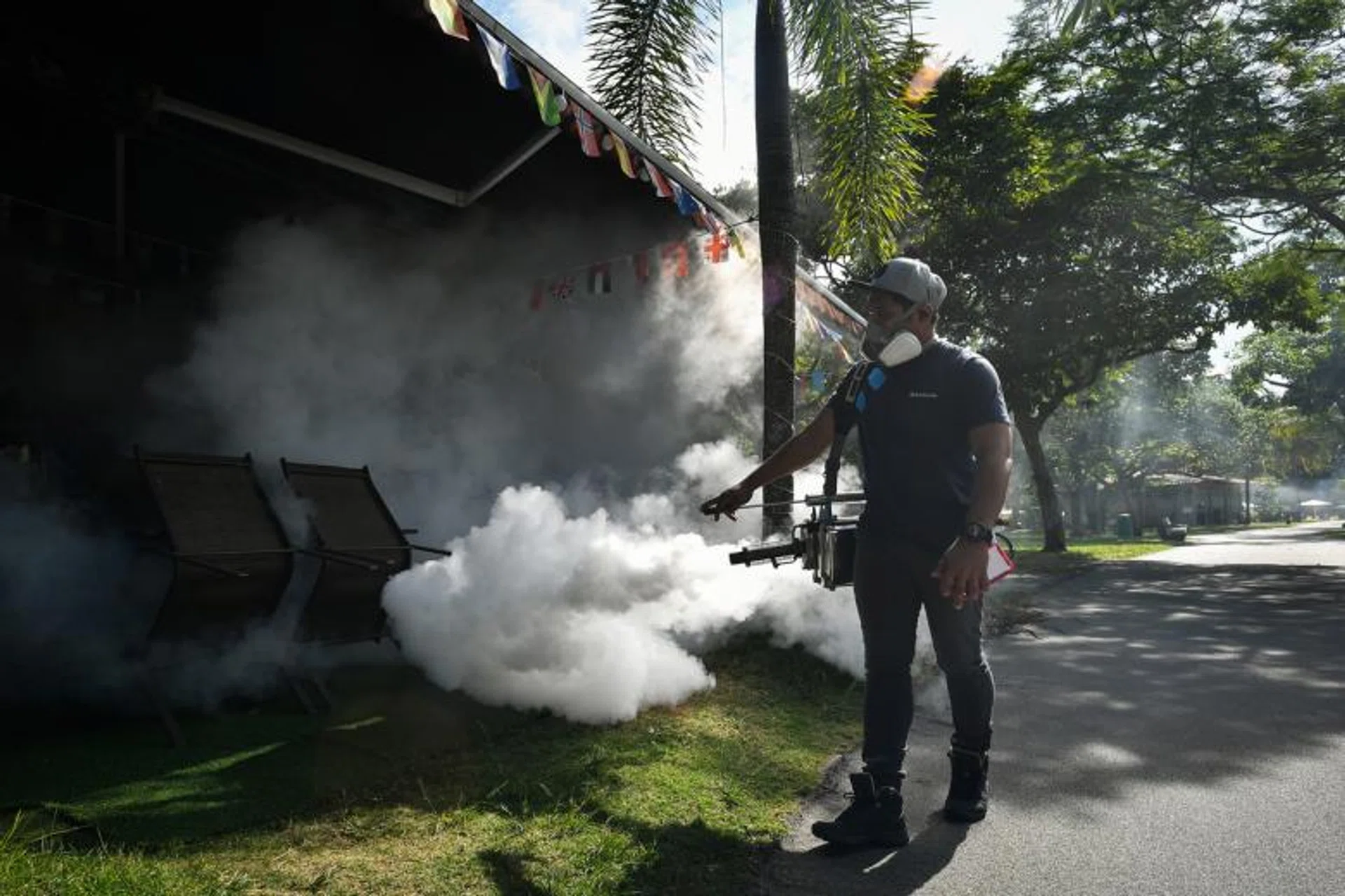 The uptick in dengue cases continued for a fifth week with 183 cases reported last week.