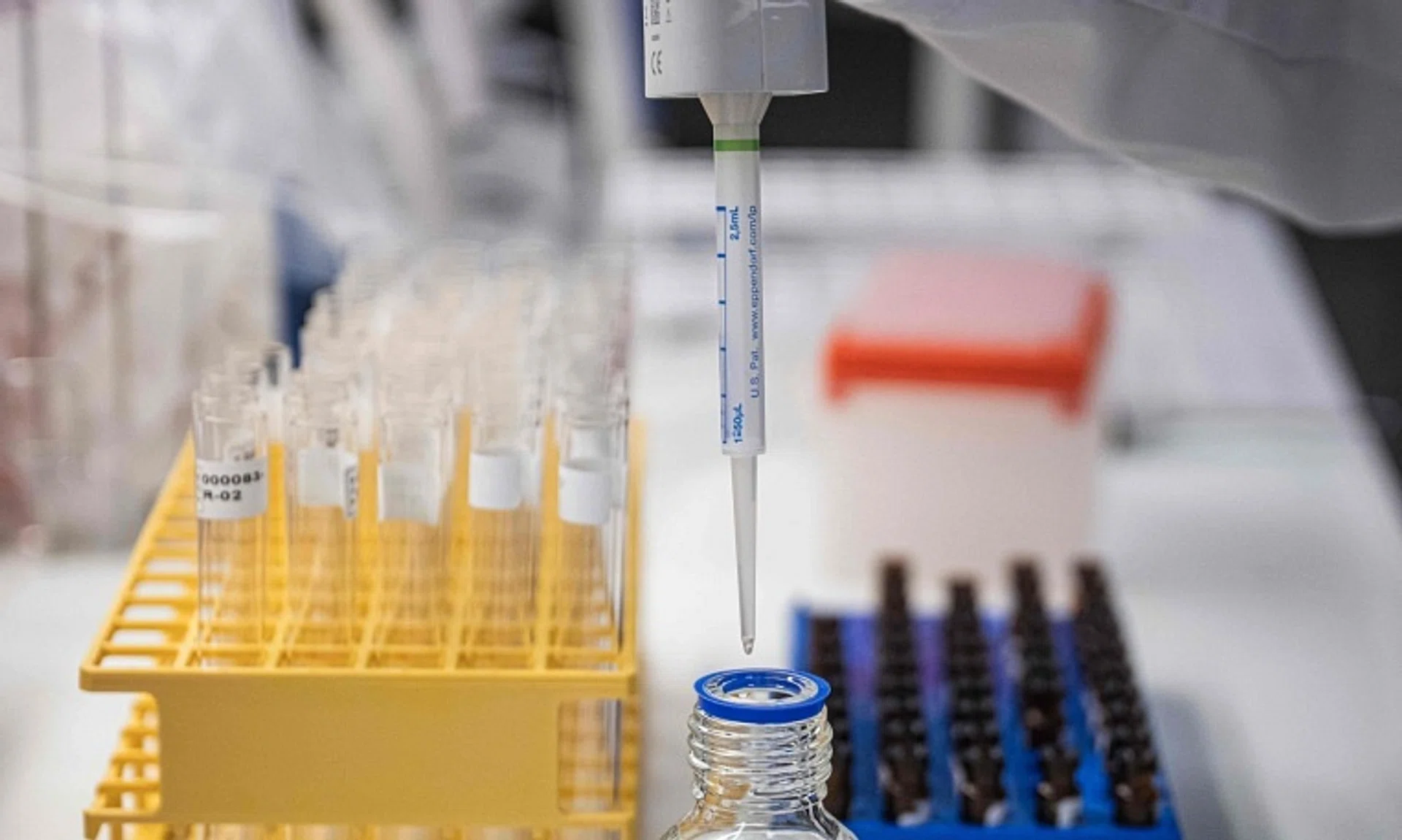 A study identifies 22 more viruses capable of persisting in human semen after infection.