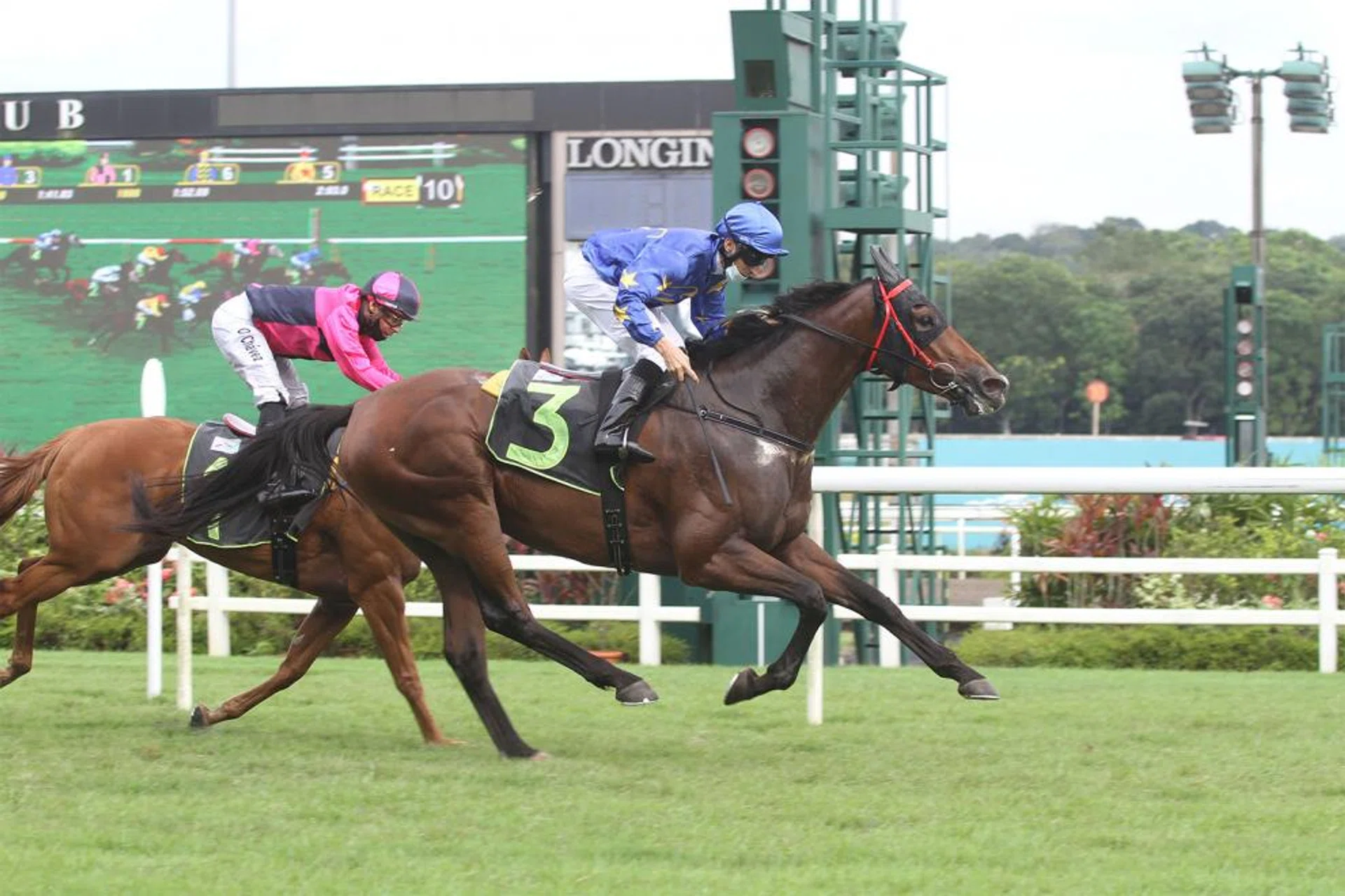 The David Kok-trained Real Efecto giving more under Singapore Gold Cupwinning jockey Danny Beasley to beat Senor Don in Saturday’s $70,000 Kranji Stakes C event over the Gold Cup trip of 2,000m. 