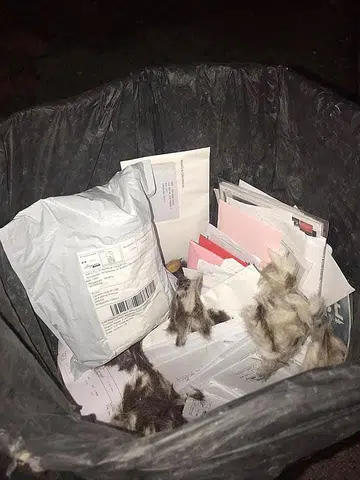 Postman arrested after undelivered mail found in bin in Ang Mo Kio