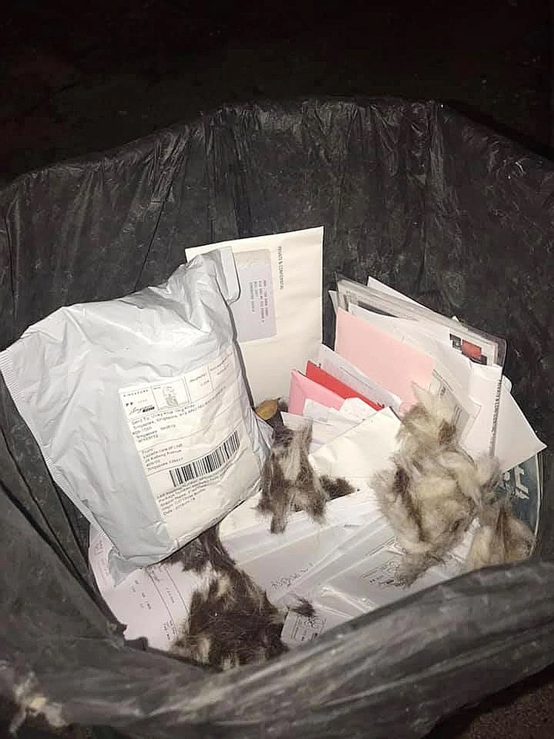 The undelivered mail included letters from government agencies. 