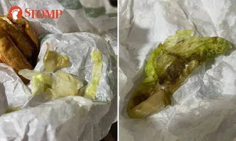 Woman shocked to find rotten lettuce in McDonald's burger