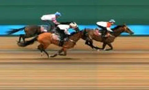 Race card for Feb 20