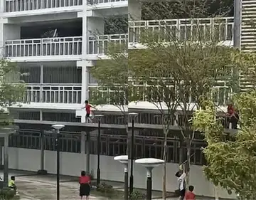 Roof of walkway is not an area for you to cut loose, kids