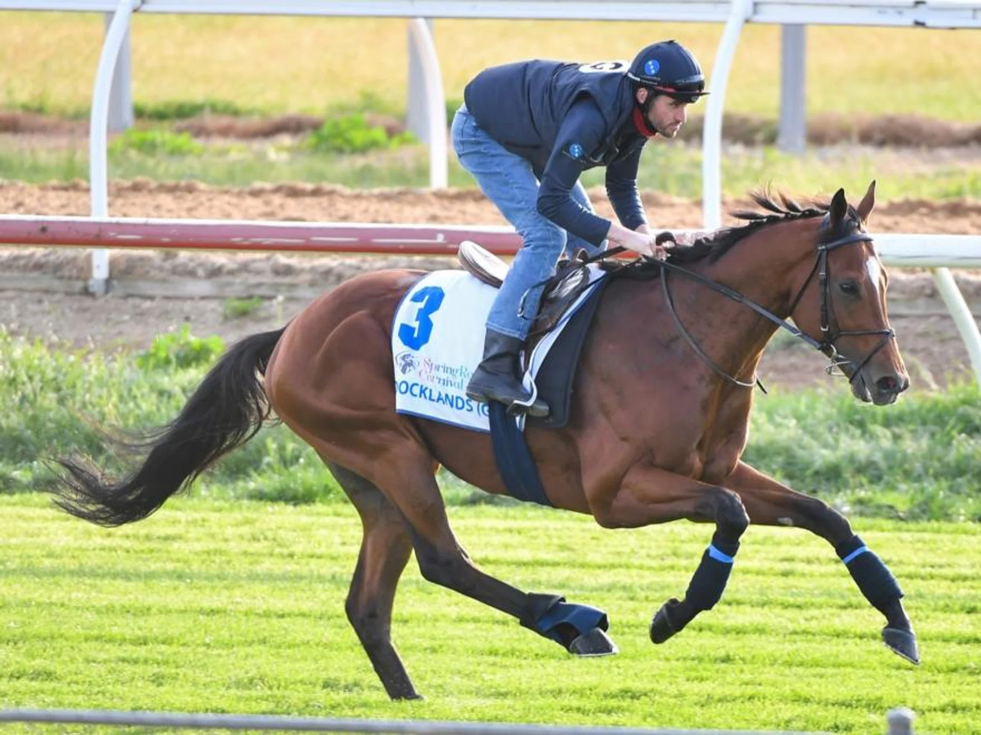 English raider Docklands with track rider Jerome Frandon going around the Werribee quarantine track for an easy canter ahead of his big assignment in the Group 1 Cox Plate (2.040) at Moonee Valley on Oct 26.