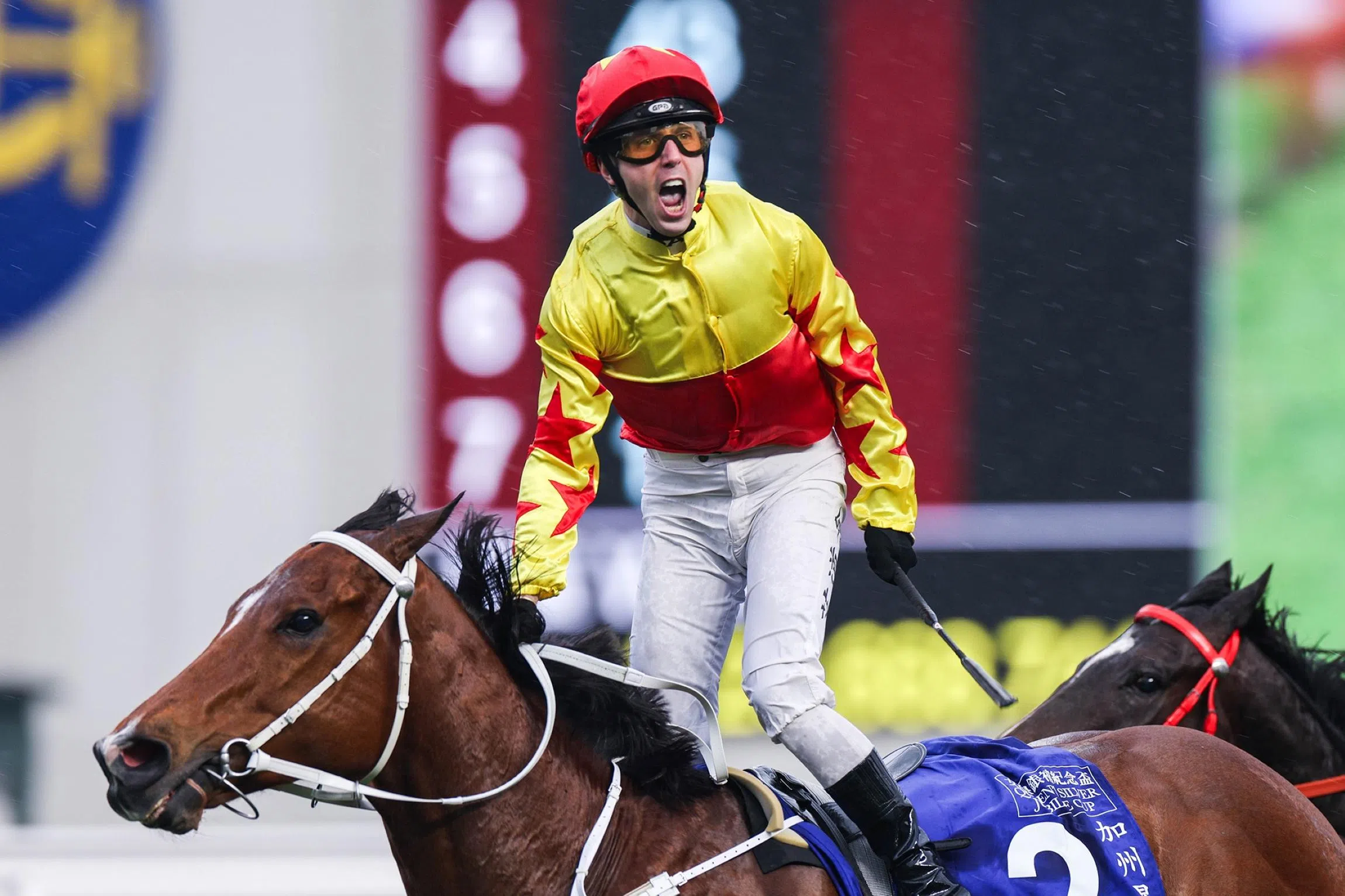 Feb 19 Hong Kong (Happy Valley) form analysis