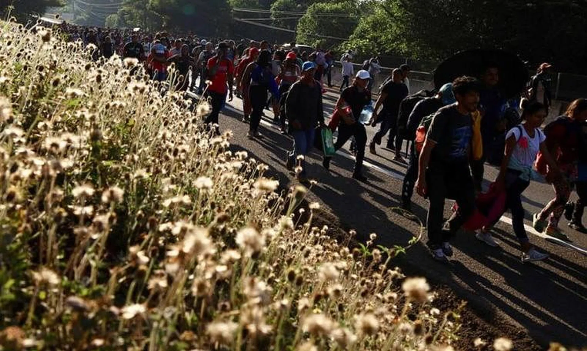 Migrants walk as they leave Tapachula in a caravan to attempt to reach the U.S. border, in the state of Chiapas, Mexico December 24, 2023. REUTERS/Jose Torres