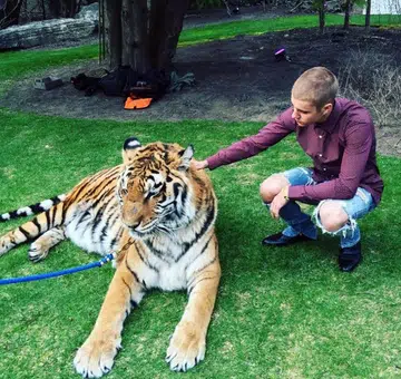 US animal rights group roar at Bieber's tiger act