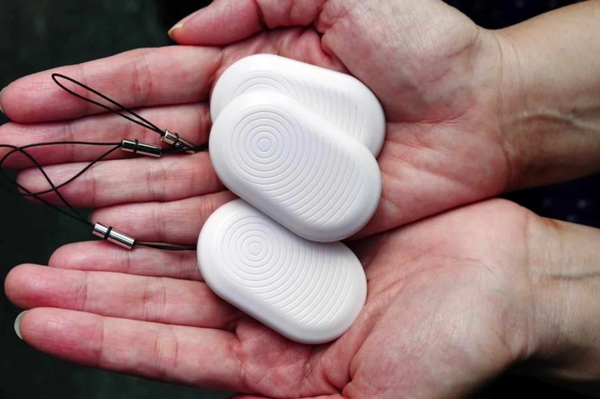 Those convicted can be fined up to $2,000, or jailed for up to three years. 