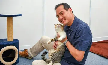 Cats may be allowed in HDB flats: Tan Kiat How