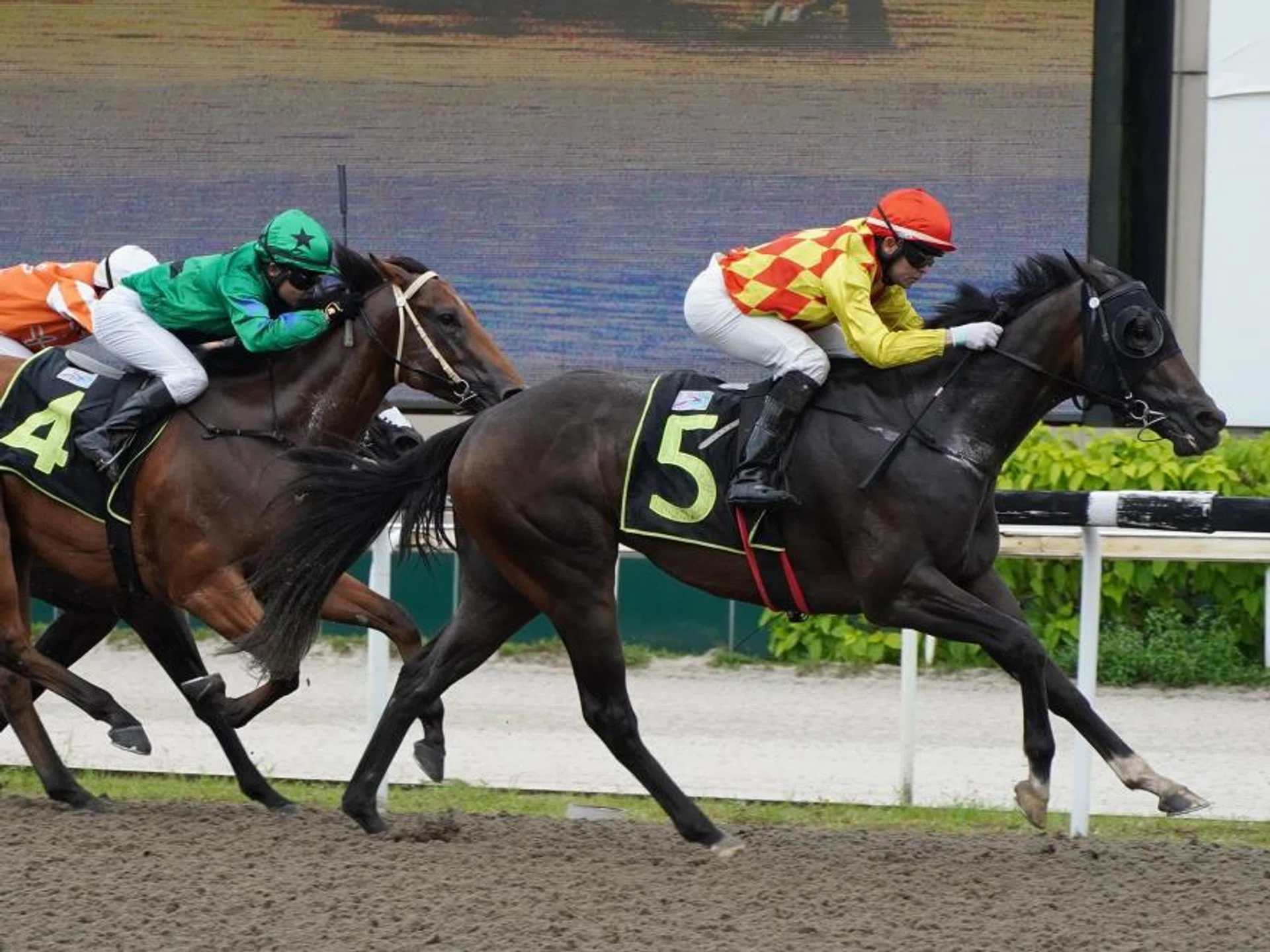 Last-start winner Golden Brown (Manoel Nunes) has maintained his condition and should score again in the last race at Kranji on March 2.


