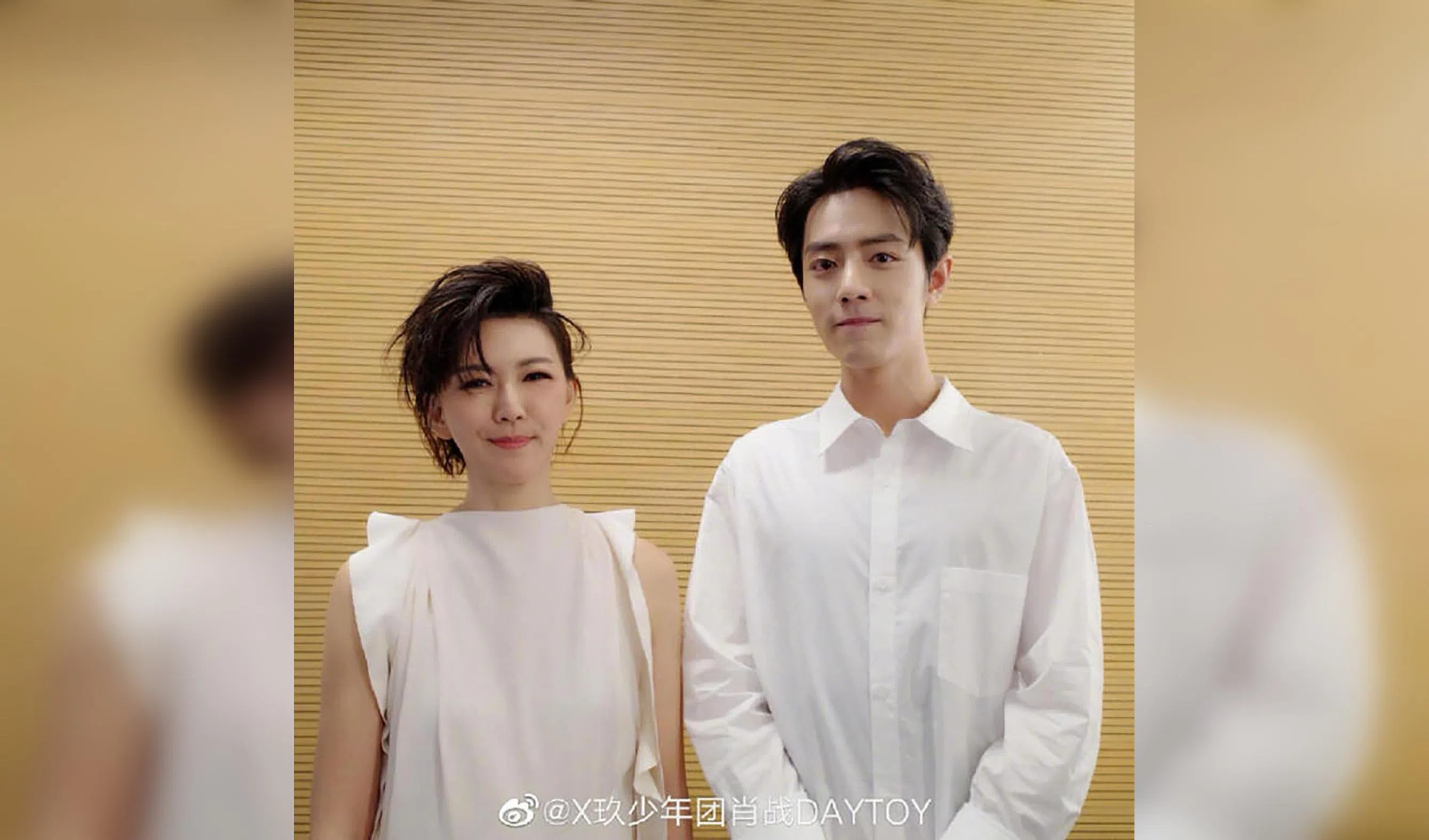 Fanboy goals: Xiao Zhan attends Stefanie Sun's show, earns praise from his idol