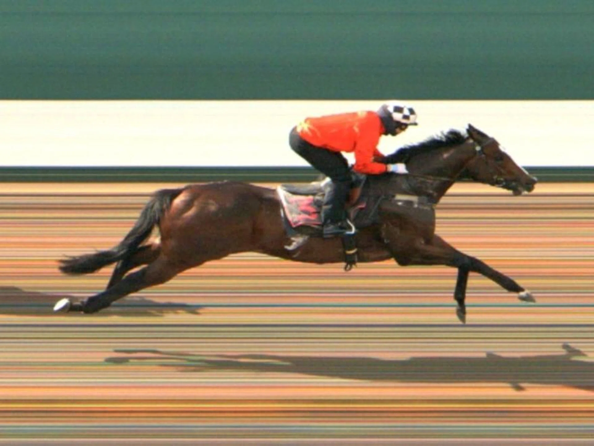 The Steven Burridge-trained Makin (Manoel Nunes) winning his barrier trial at Kranji on May 30. He contests the Group 3 Silver Bowl (1,400m) on June 9.
