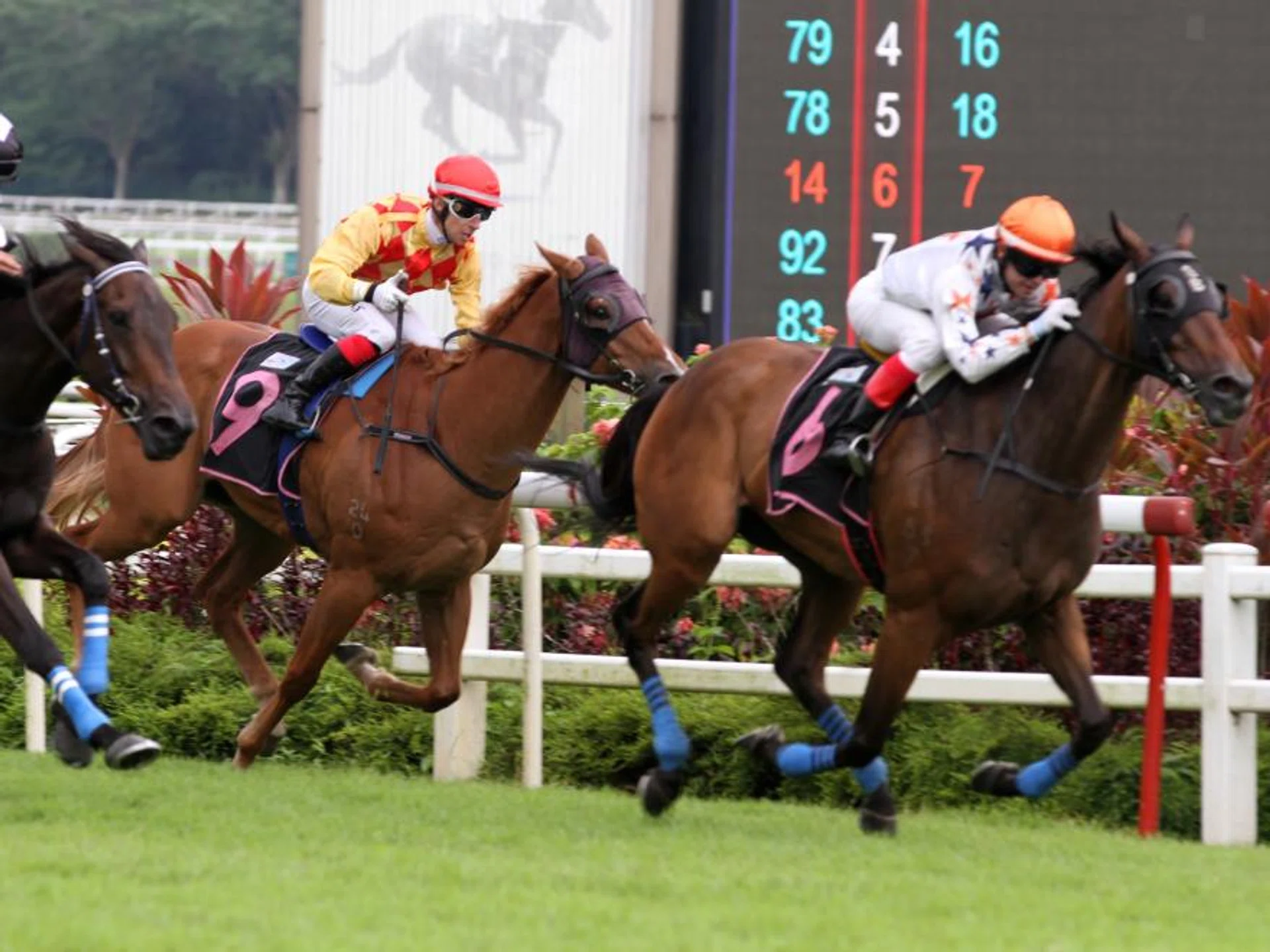 Forest Gold (No. 9), with Charles Perkins astride along the rails, finishing third in the Class 5 2,000m race won by Split Second (No. 6, Manoel Nunes) on April 27. Combustion (Bernardo Pinheiro) was second.

