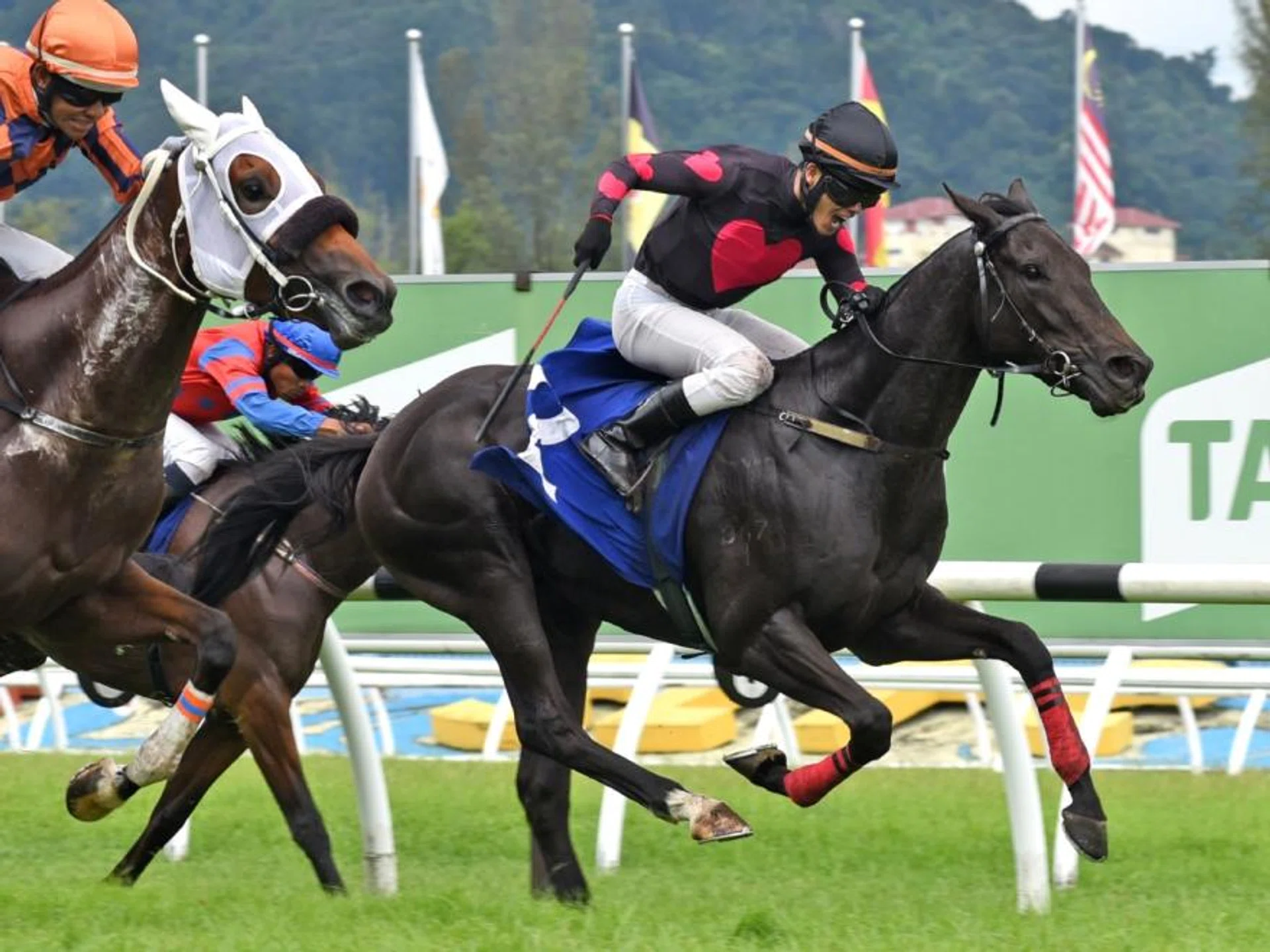 Rocky Pegasus storming home to catch favourite Trees Of Valinor (Ruzaini Supien) in the Open Class race (1,250m) at Sungai Besi on Nov 10. Unseen in this photo, jockey Lim Aun Kean actually has his left foot out of the stirrup, adding great merit to the win and his perfect balance despite the precarious situation he is in.