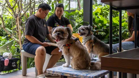 Bettr Coffee's pet-friendly outdoor space at The Foundry.