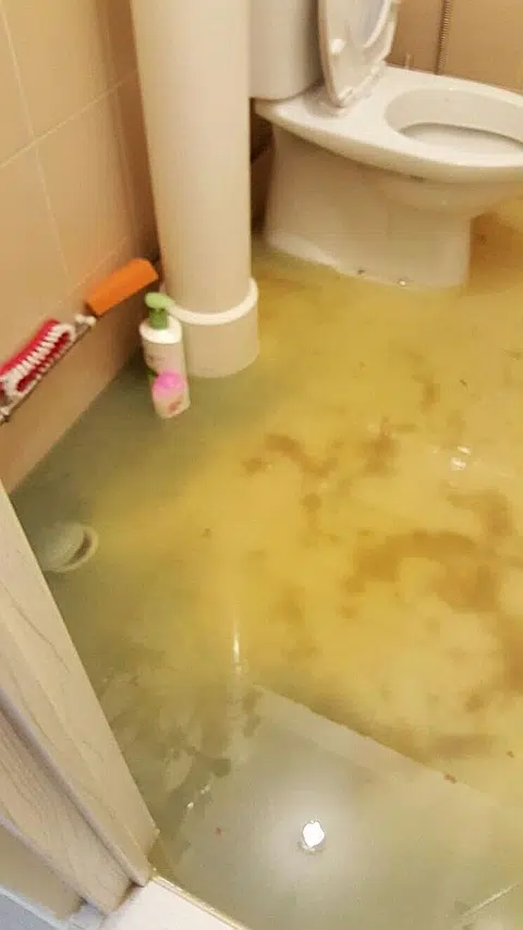 Family suffers stink and filth from sewage for two days