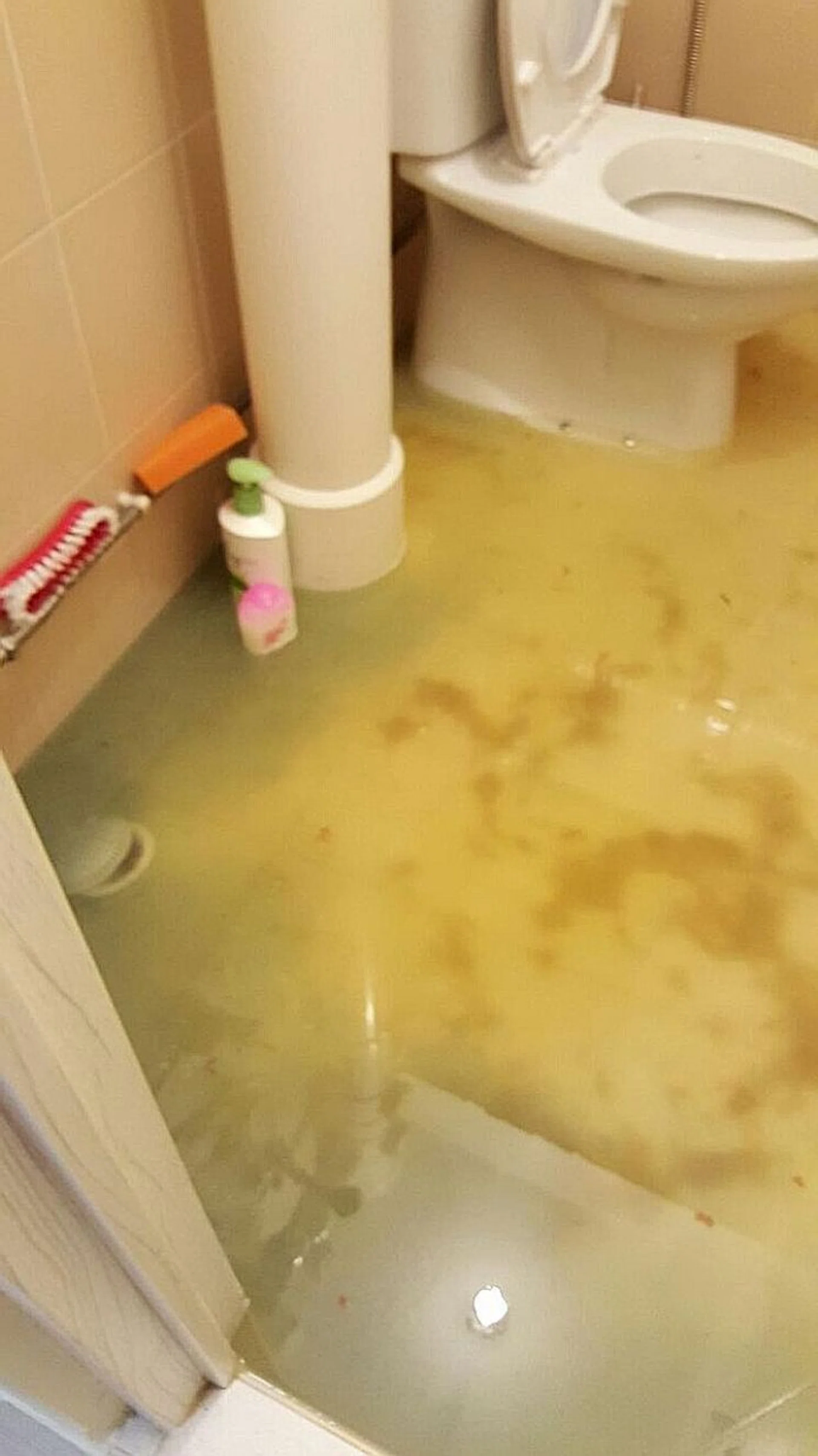 DISGUSTING: Sewage water flooding Madam Tan Siew Tin's master bedroom toilet last weekend.